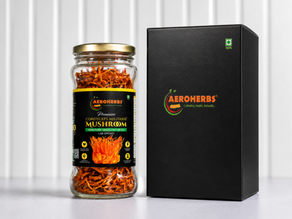 Cordyceps Militaris Dried Fruiting Bodies- 50gm