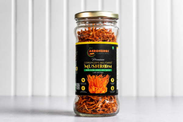 Cordyceps Militaris Dried Fruiting Bodies- 50gm