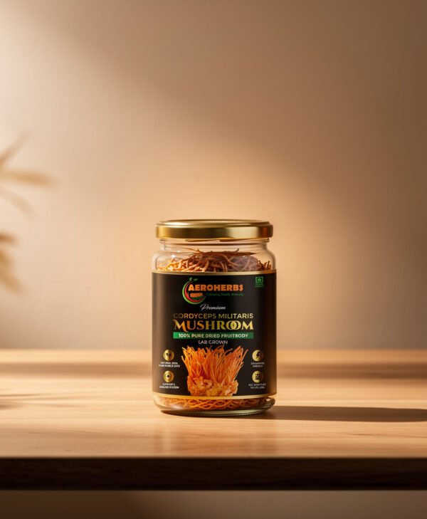 Cordyceps Militaris Dried Fruiting Bodies- 100gm