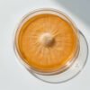 Cordyceps Militaris Culture plate- 75mm