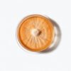 Cordyceps Militaris Culture plate- 75mm
