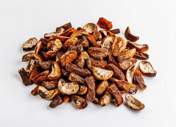 Cordyceps Militaris Substrate Cake (Dried) -500gm